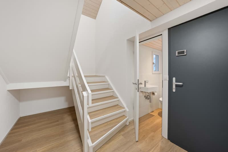 6.5-Zimmer-Wohnung (5)
