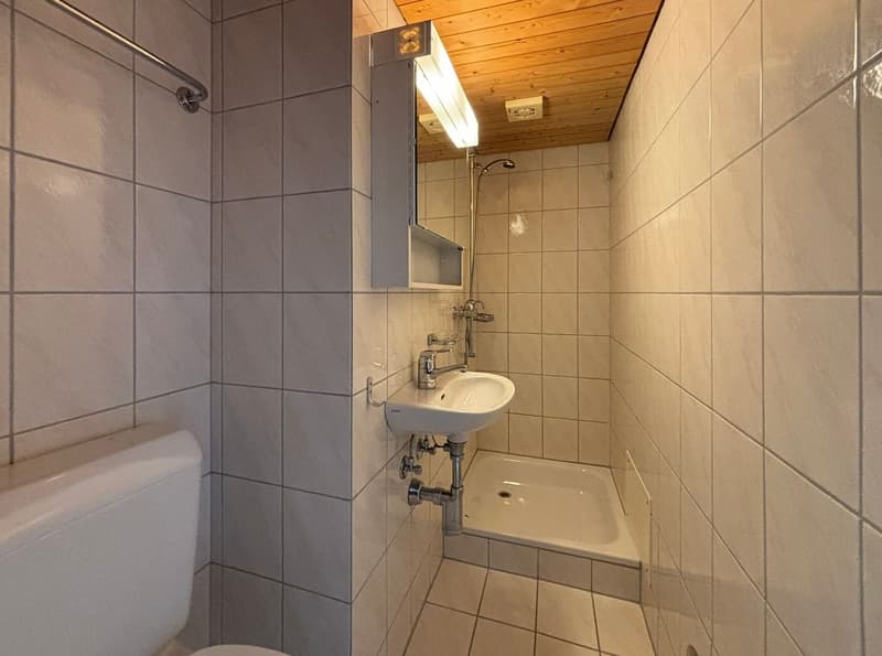 3.5-Zimmer-Wohnung (9)