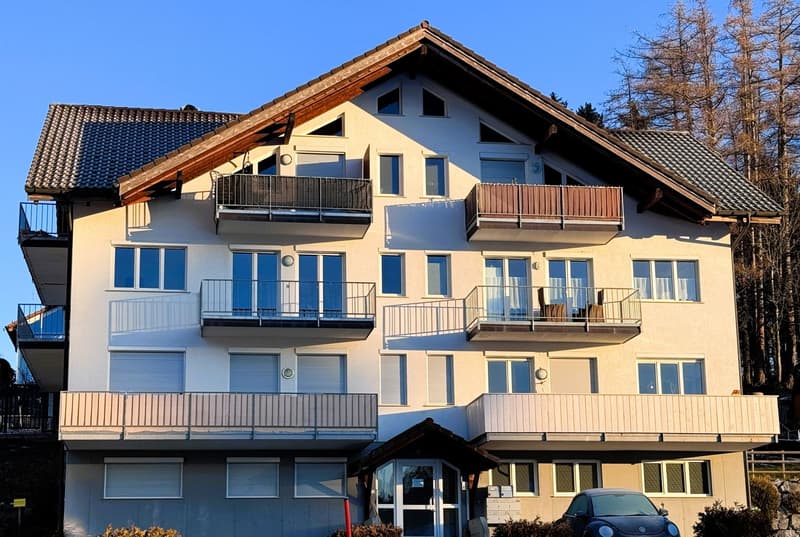 Aussenparkplatz (2)