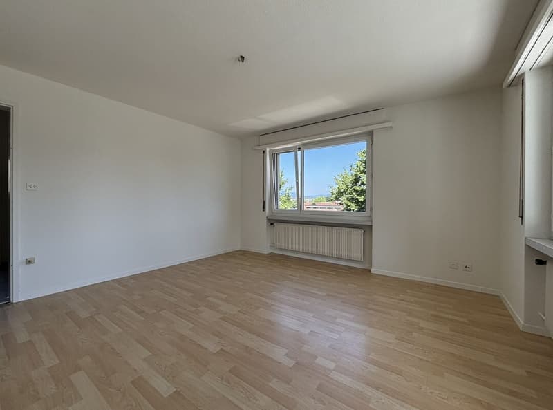 3.5-Zimmer-Wohnung (3)