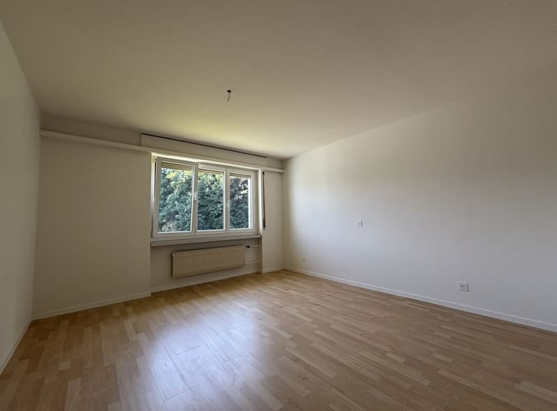 3.5-Zimmer-Wohnung (5)