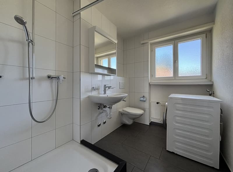 3.5-Zimmer-Wohnung (10)