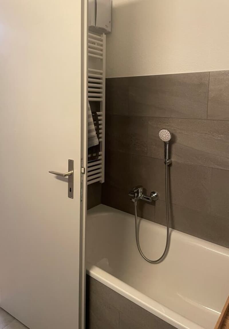 4.5-Zimmer-Wohnung (7)