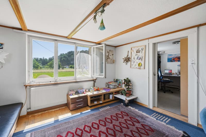 Einfamilienhaus mit Ökonomiegebäuden (10)