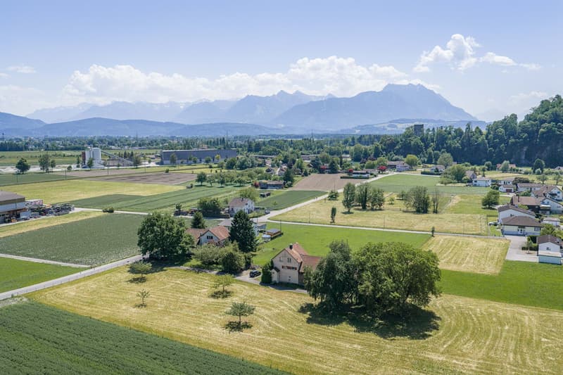 Einfamilienhaus mit Ökonomiegebäuden (2)