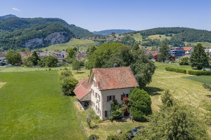 Einfamilienhaus mit Ökonomiegebäuden (4)