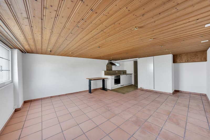 1.5-Zimmer-Wohnung (4)