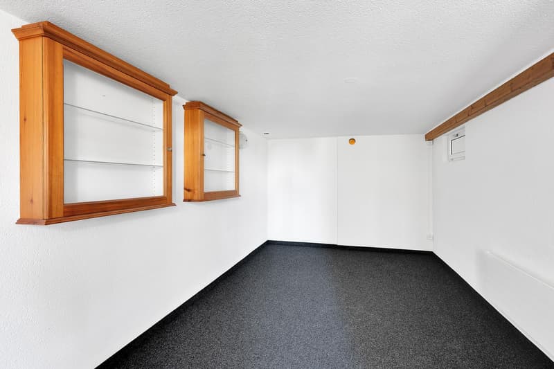 1.5-Zimmer-Wohnung (6)
