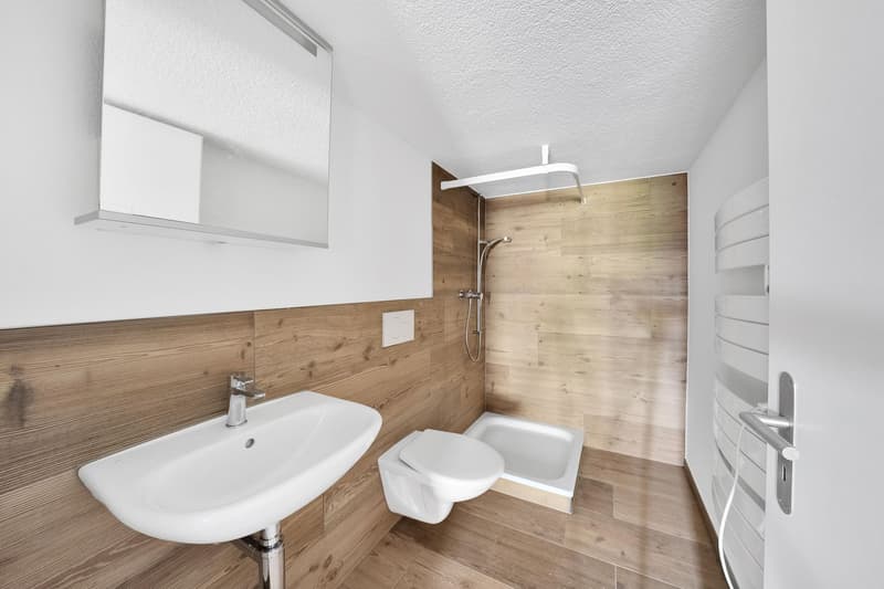 1.5-Zimmer-Wohnung (9)