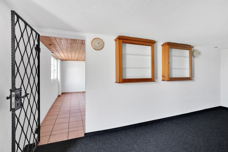 1.5-Zimmer-Wohnung (7)