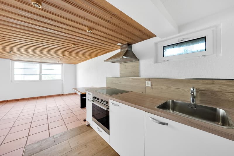 1.5-Zimmer-Wohnung (2)