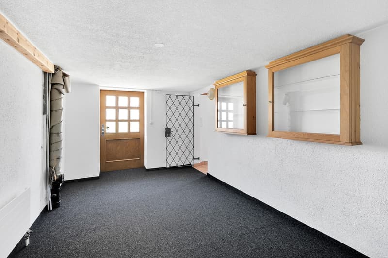 1.5-Zimmer-Wohnung (3)