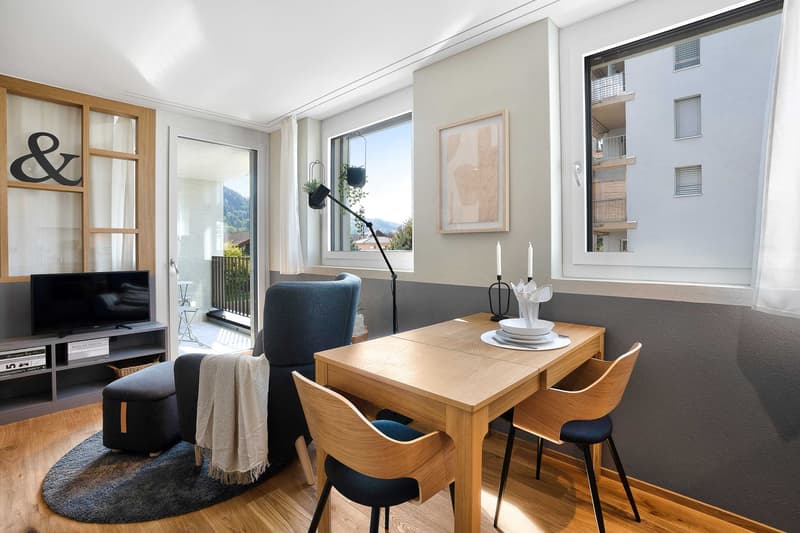 1.5-Zimmer-Wohnung (5)