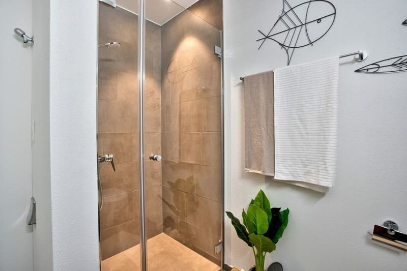 1.5-Zimmer-Wohnung (8)