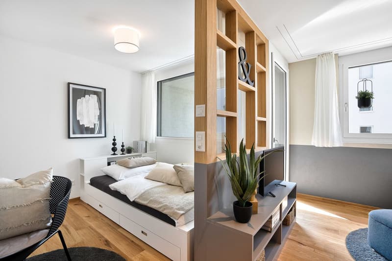 1.5-Zimmer-Wohnung (2)