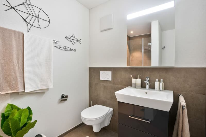 1.5-Zimmer-Wohnung (7)