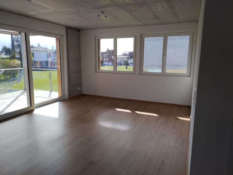 4.5-Zimmer-Wohnung (3)