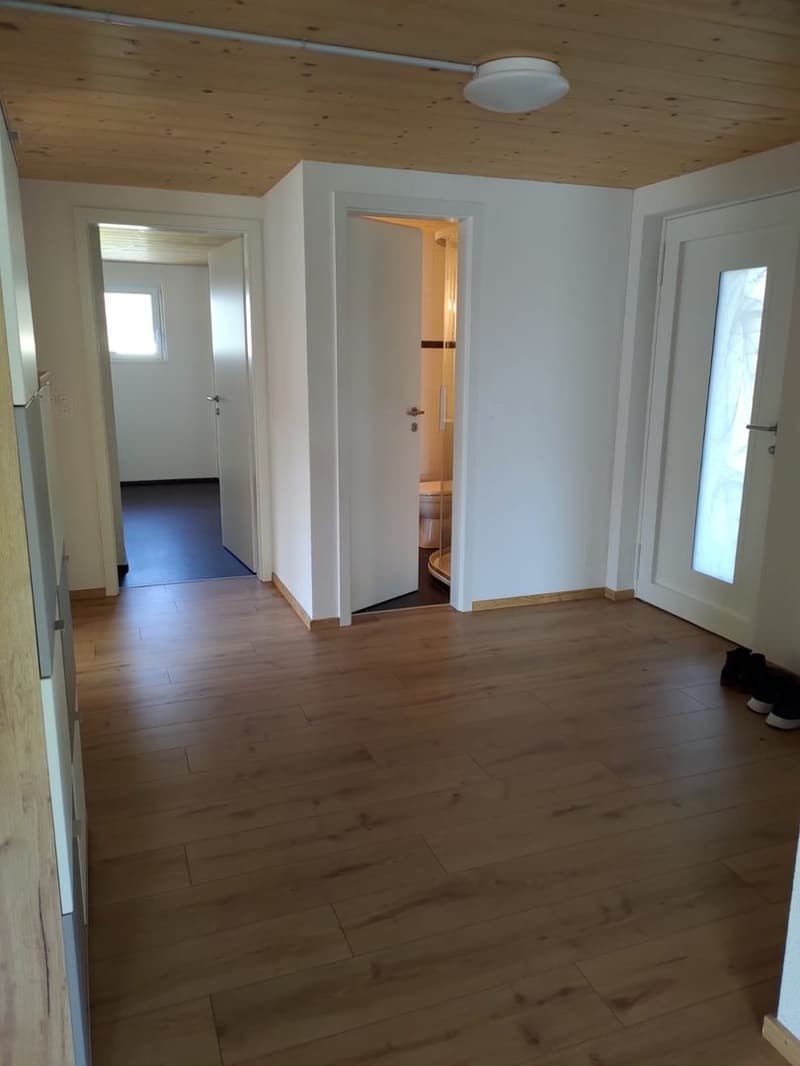 4.5-Zimmer-Wohnung (12)