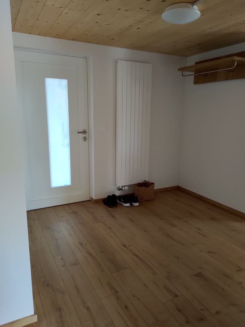 4.5-Zimmer-Wohnung (11)