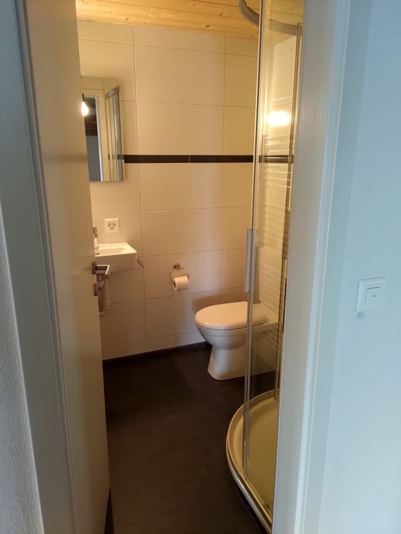 4.5-Zimmer-Wohnung (10)