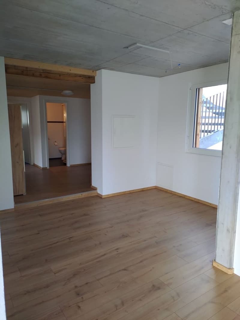 4.5-Zimmer-Wohnung (4)