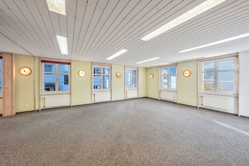 Wohn- und Geschäftshaus | Mehrfamilienhaus (8)