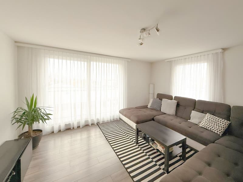 3.5-Zimmer-Attikawohnung (6)