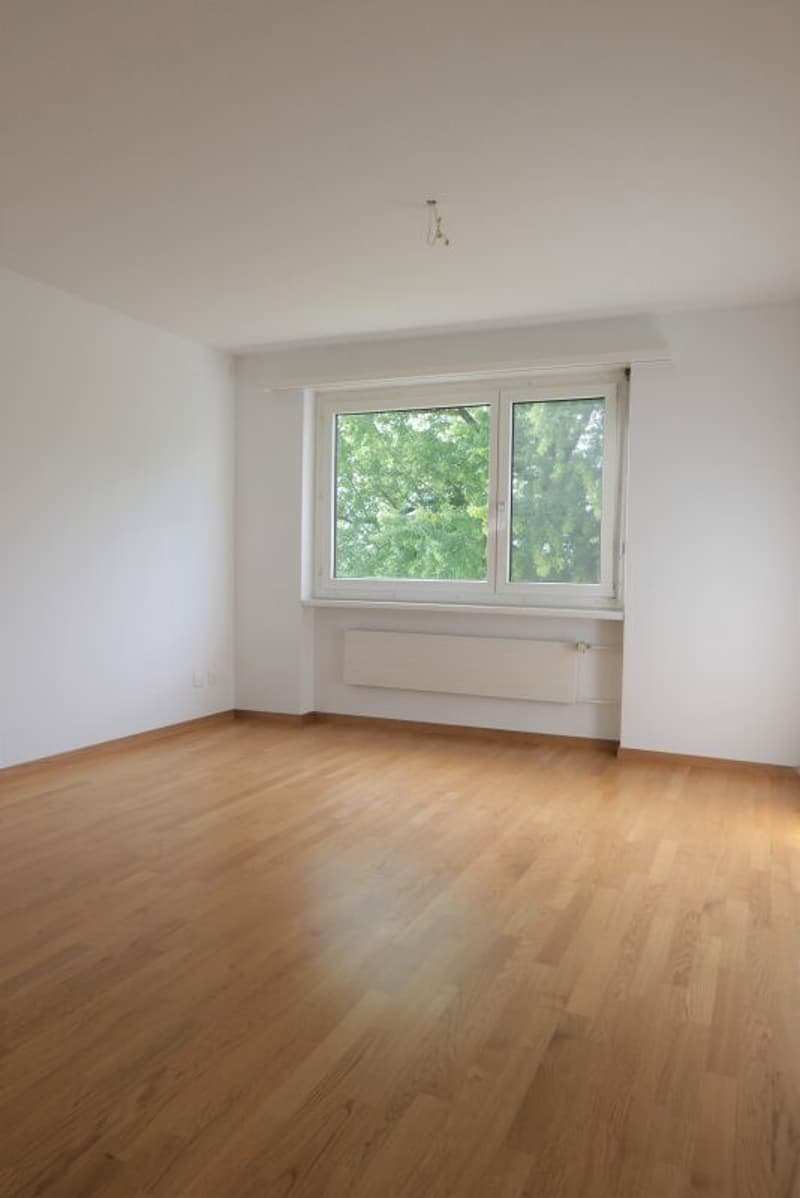 Zimmer