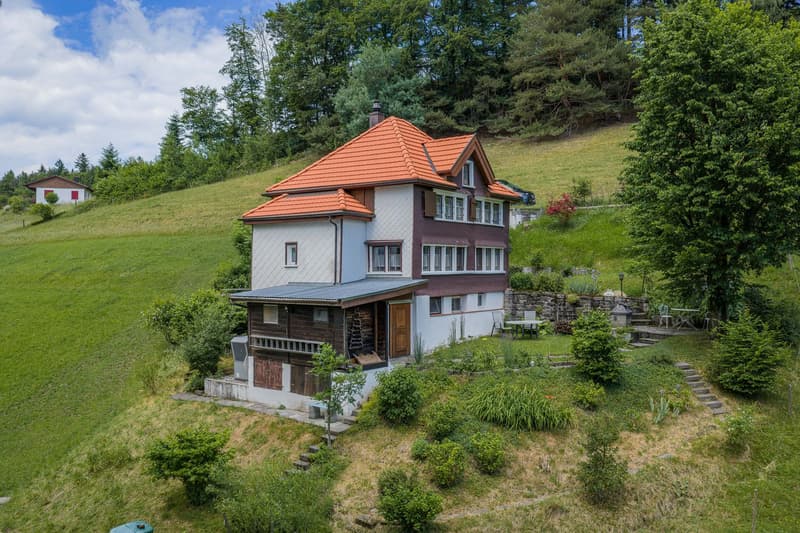 Einfamilienhaus (3)