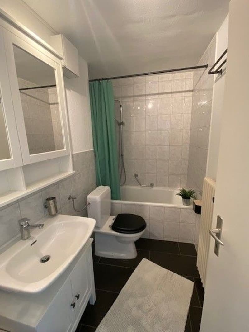 3.5-Zimmer-Wohnung (5)