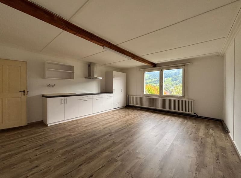 1-Zi. Wohnung (4)