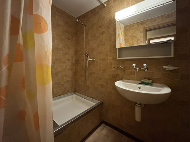 1-Zi. Wohnung (5)