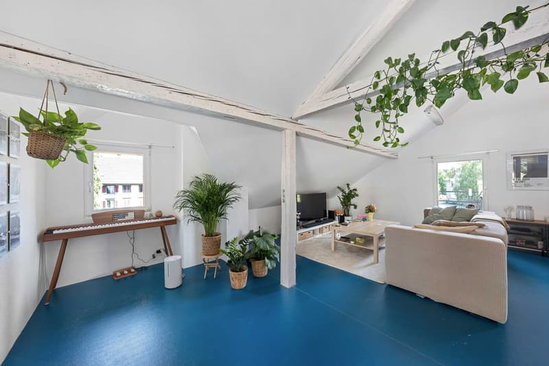2.5-Zimmer-Dachwohnung (4)