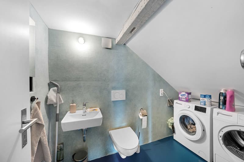 2.5-Zimmer-Dachwohnung (8)