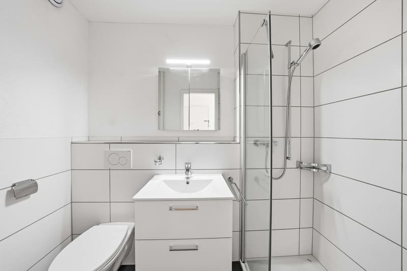 1.5-Zimmer-Wohnung (5)