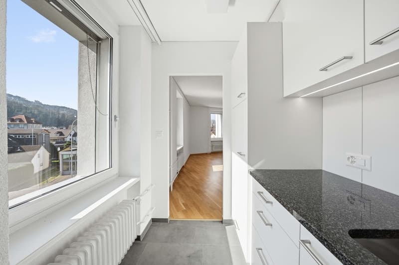 1.5-Zimmer-Wohnung (4)