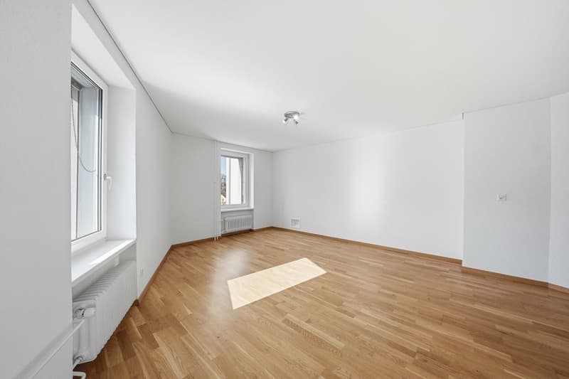 1.5-Zimmer-Wohnung (2)