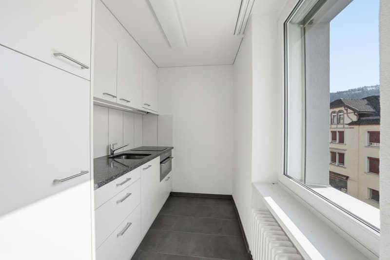 1.5-Zimmer-Wohnung (3)