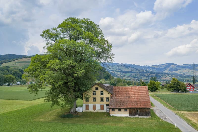 Einfamilienhaus mit Scheune (2)