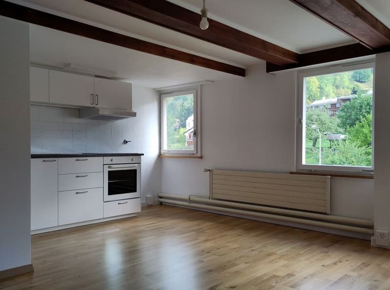 1-Zimmer-Wohnung (6)