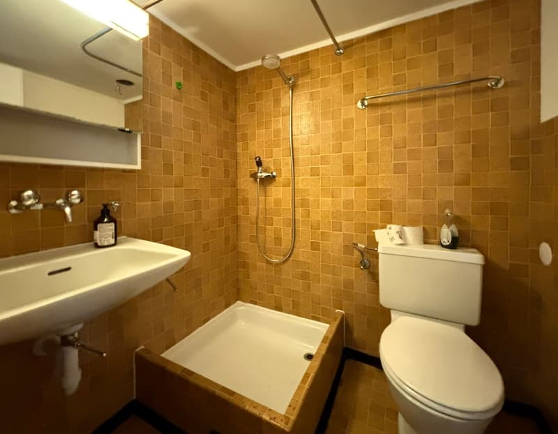 1-Zimmer-Wohnung (7)