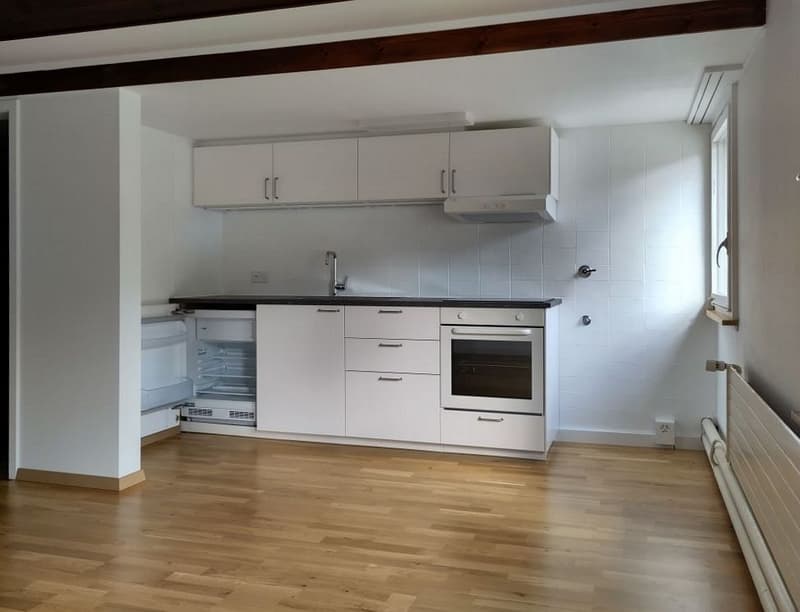1-Zimmer-Wohnung (5)