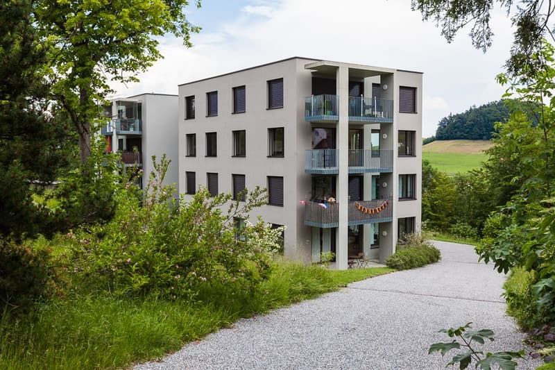 5.5-Zimmer-Wohnung (2)