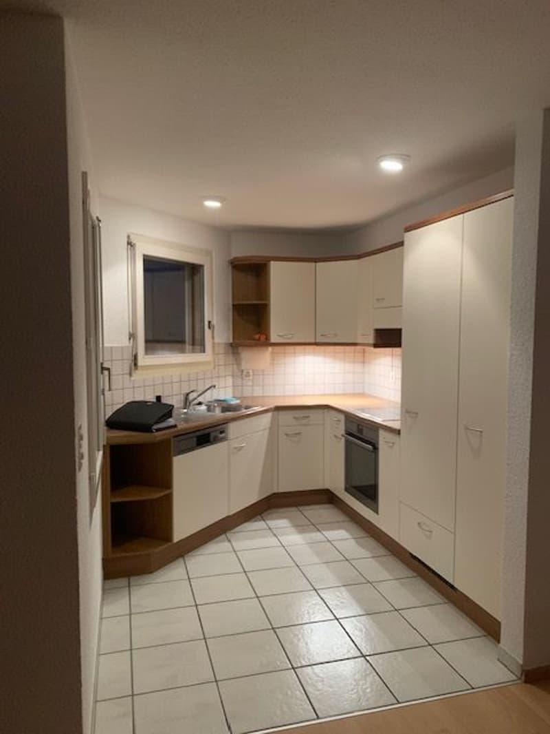 4.5-Zimmer-Wohnung (3)