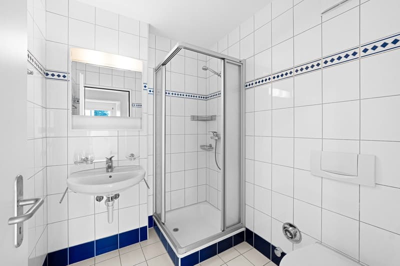 4.5-Zimmer-Wohnung (7)