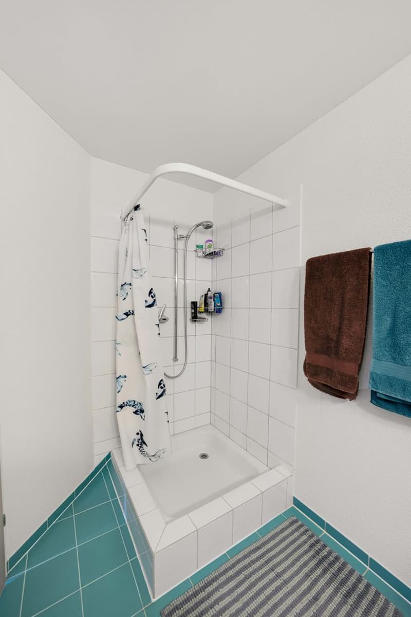 4.5-Zimmer-Wohnung (9)