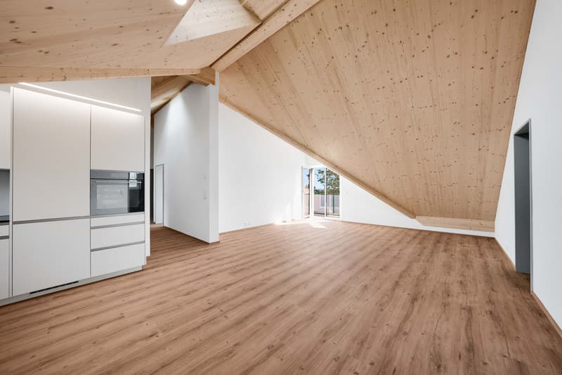 3.5-Zimmer-Dachwohnung (2)