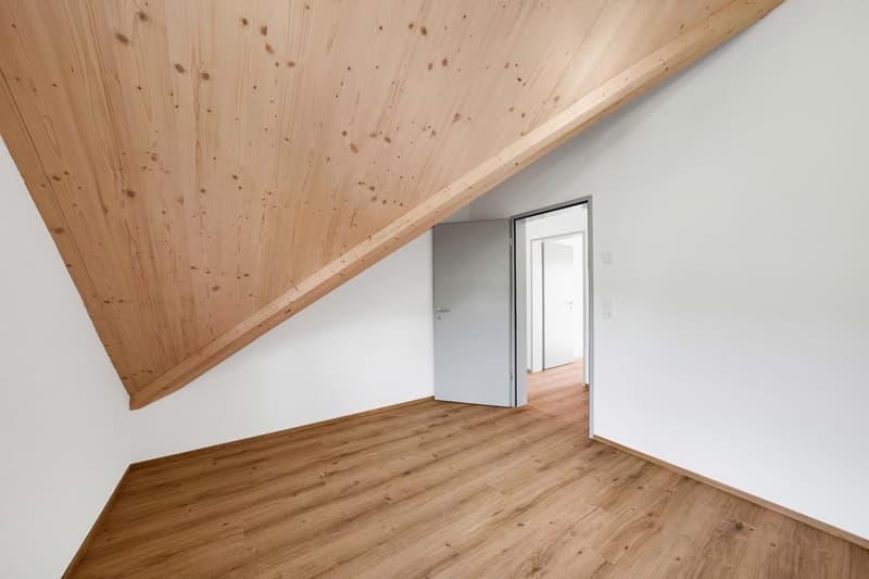 3.5-Zimmer-Dachwohnung (6)