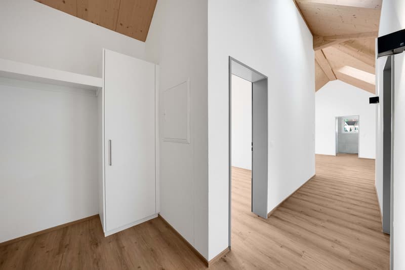 3.5-Zimmer-Dachwohnung (3)
