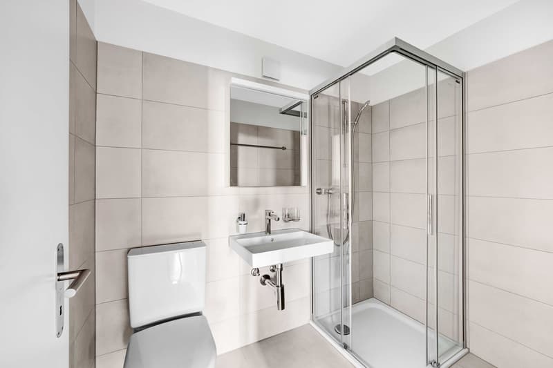 4.5-Zimmer-Wohnung (6)
